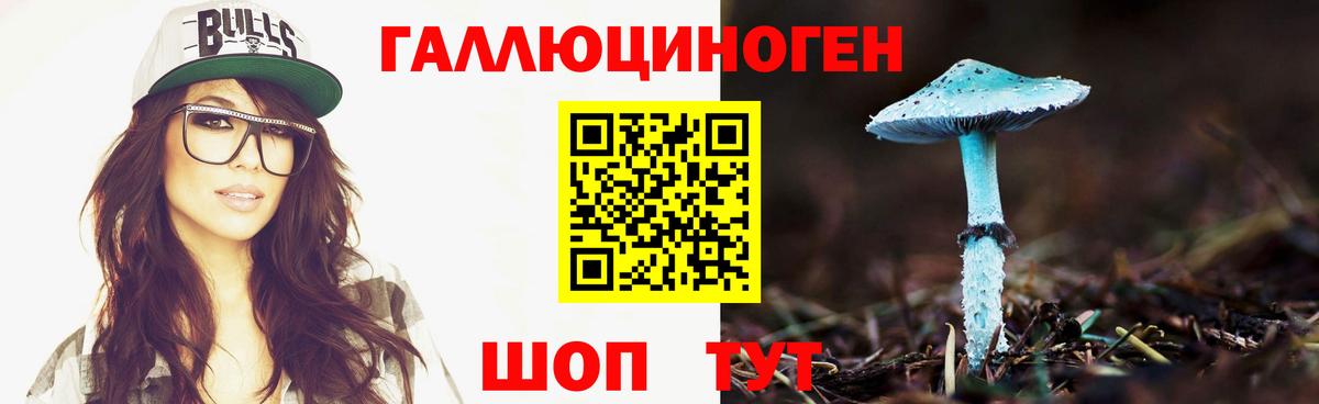 Псилоцибиновые грибы Magic Shrooms Городец