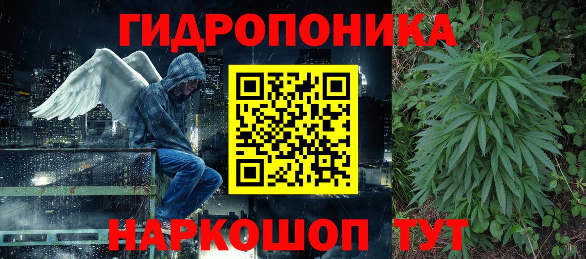 Канабис сатива Городец